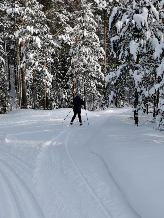 Pensjonat Nordic Character Vidsel Zewnętrze zdjęcie