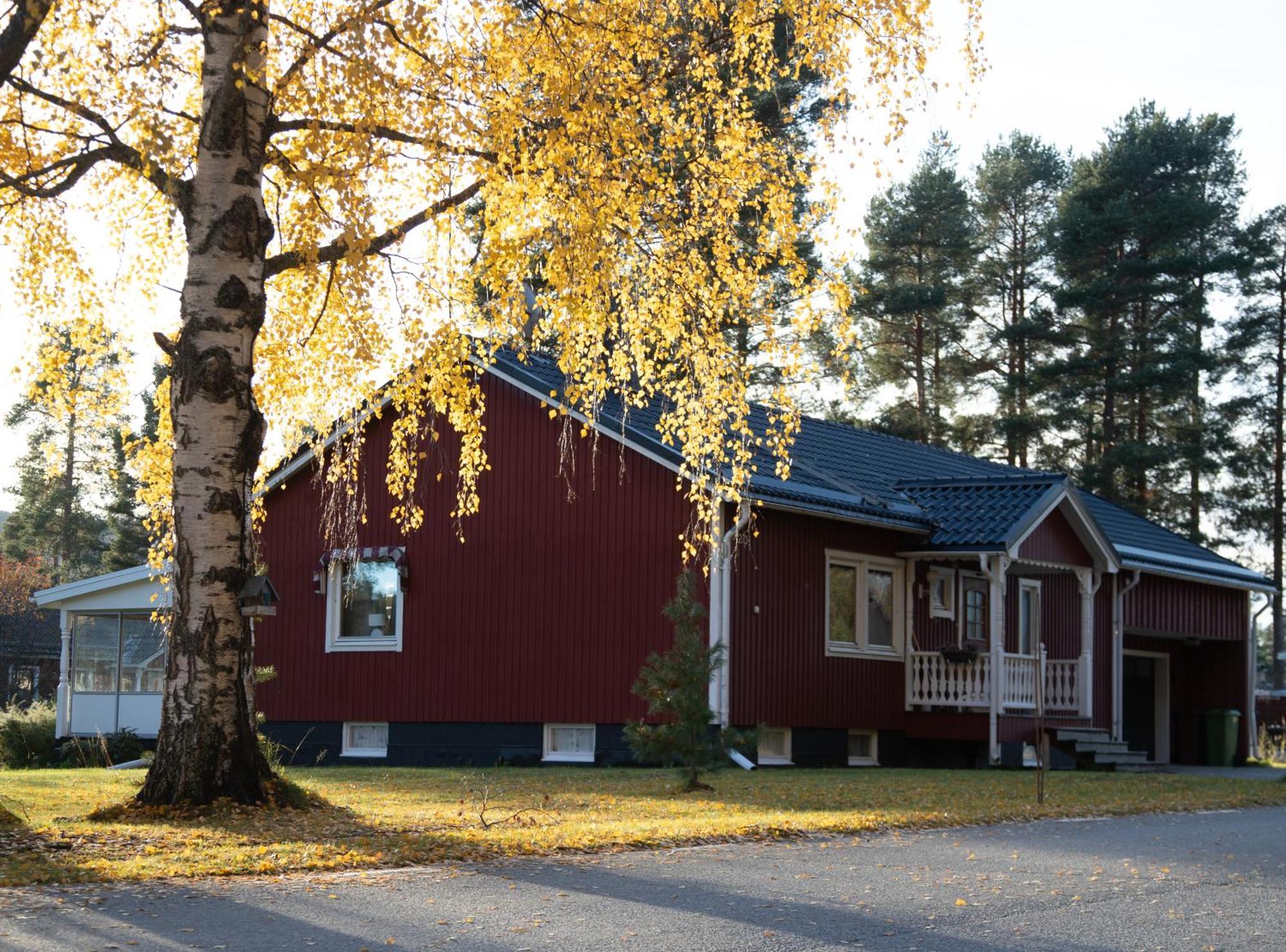 Pensjonat Nordic Character Vidsel Zewnętrze zdjęcie